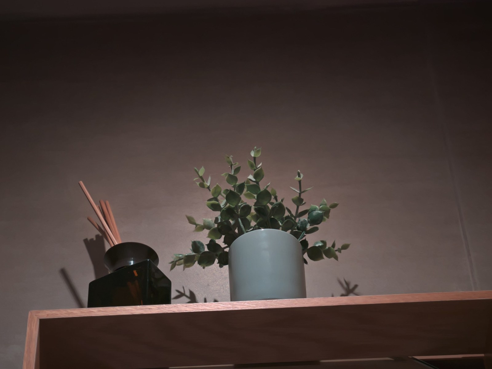 Détail végétal dans une chambre